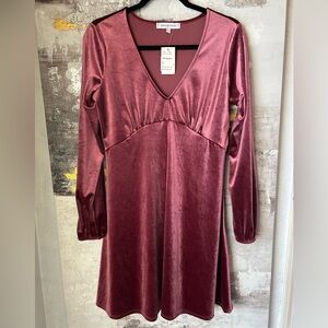 NWT The Vanity Room Velvet Rose Mini Dress